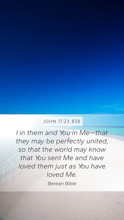 John 17:23 BSB Bible Verse Image