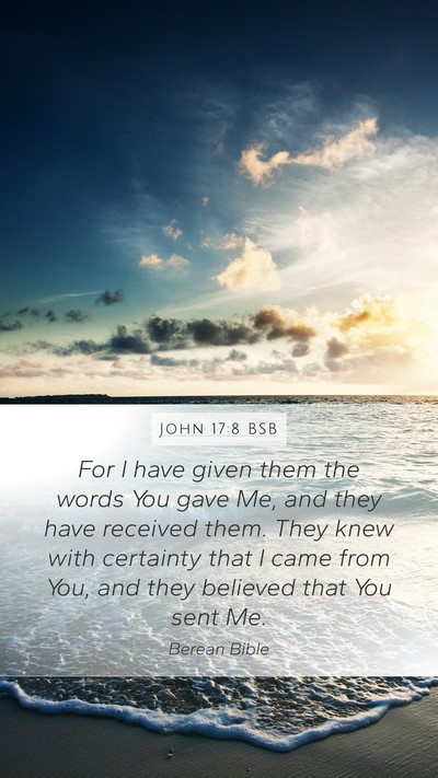 John 17:8 BSB Bible Verse Image