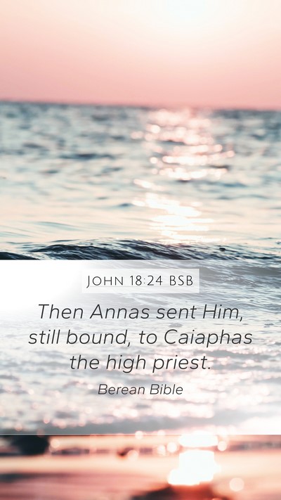 John 18:24 BSB Bible Verse Image
