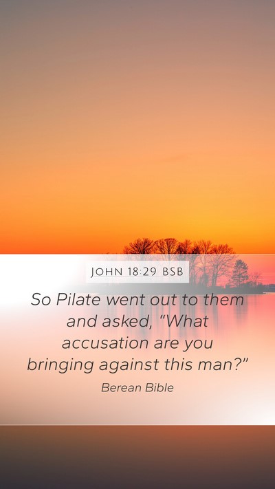 John 18:29 BSB Bible Verse Image