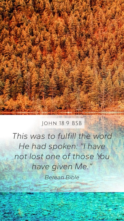 John 18:9 BSB Bible Verse Image