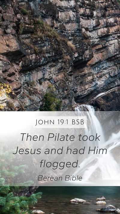 John 19:1 BSB Mobile Phone Wallpaper - Then Pilate took Jesus and had Him - Mobile Bible Verse Wallpaper