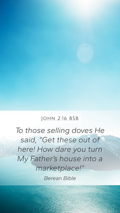 John 2:16 BSB Bible Verse Image