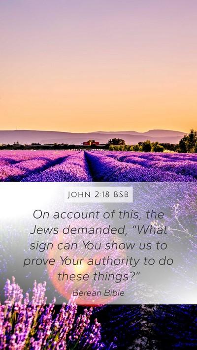 John 2:18 BSB Bible Verse Image
