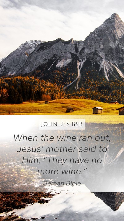 John 2:3 BSB Bible Verse Image