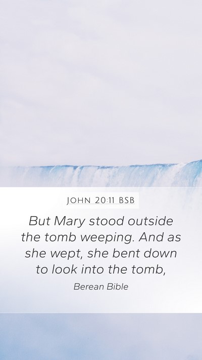 John 20:11 BSB Bible Verse Image