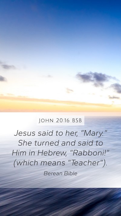 John 20:16 BSB Bible Verse Image