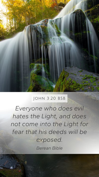 John 3:20 BSB Bible Verse Image