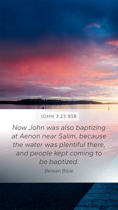 John 3:23 BSB Bible Verse Image