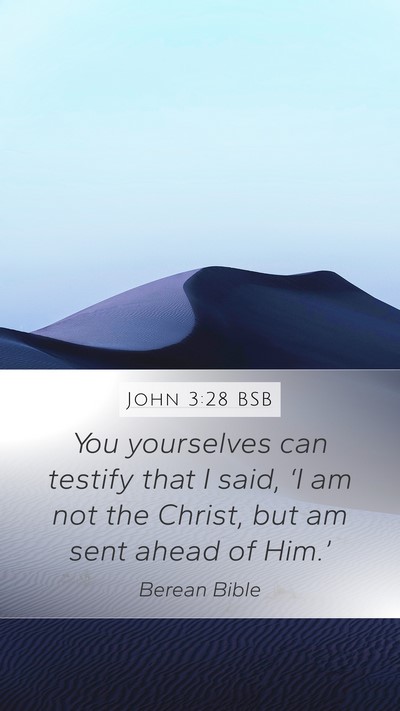 John 3:28 BSB Bible Verse Image