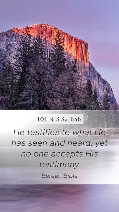 John 3:32 BSB Bible Verse Image
