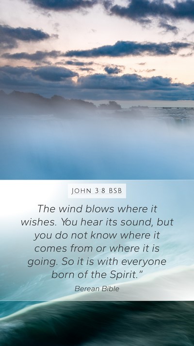 John 3:8 BSB Bible Verse Image