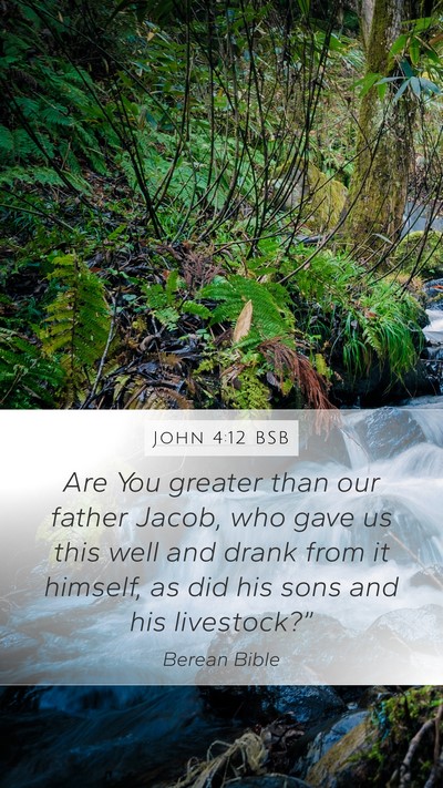John 4:12 BSB Bible Verse Image