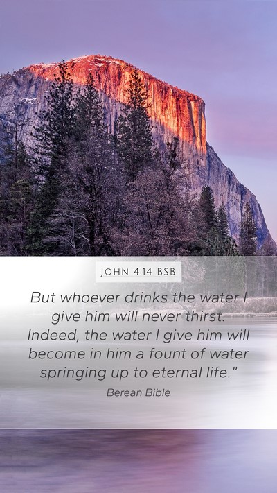 John 4:14 BSB Bible Verse Image