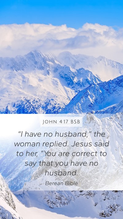 John 4:17 BSB Mobile Phone Wallpaper - “I have no husband,” the woman replied. Jesus - Mobile Bible Verse Wallpaper