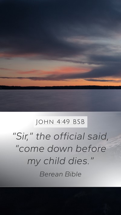 John 4:49 BSB Bible Verse Image