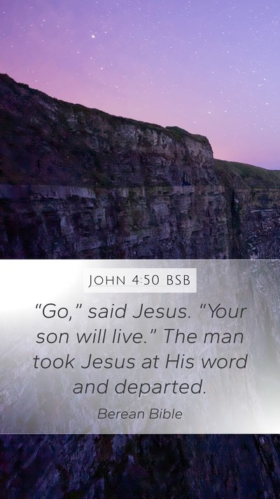 John 4:50 BSB Bible Verse Image