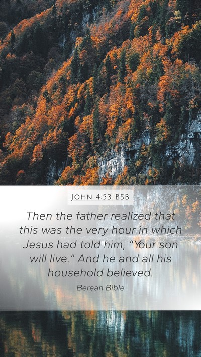 John 4:53 BSB Mobile Phone Wallpaper - Then the father realized that this was the very - Mobile Bible Verse Wallpaper