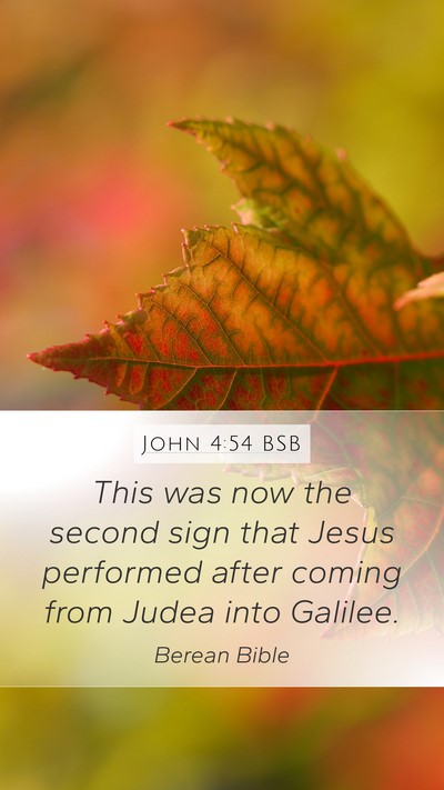 John 4:54 BSB Bible Verse Image