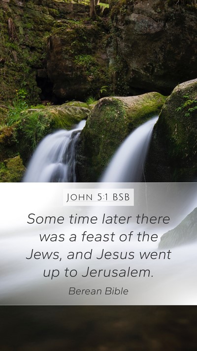 John 5:1 BSB Mobile Phone Wallpaper - Some time later there was a feast of the Jews, - Mobile Bible Verse Wallpaper