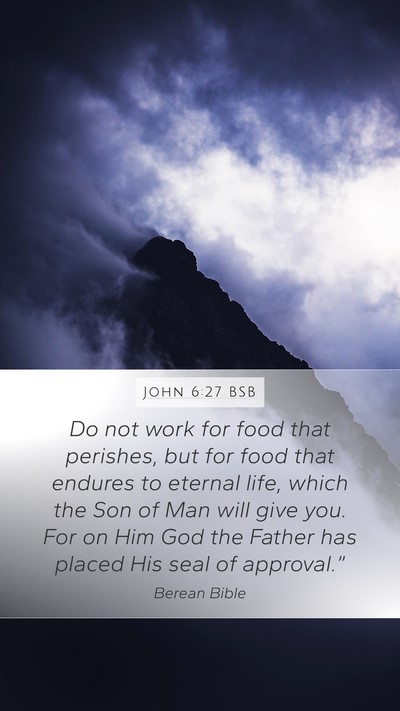 John 6:27 BSB Bible Verse Image