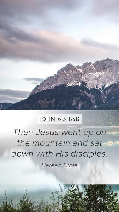 John 6:3 BSB Mobile Phone Wallpaper - Then Jesus went up on the mountain and sat down - Mobile Bible Verse Wallpaper