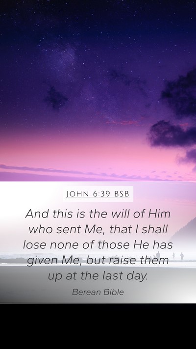 John 6:39 BSB Bible Verse Image