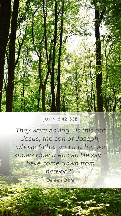 John 6:42 BSB Bible Verse Image