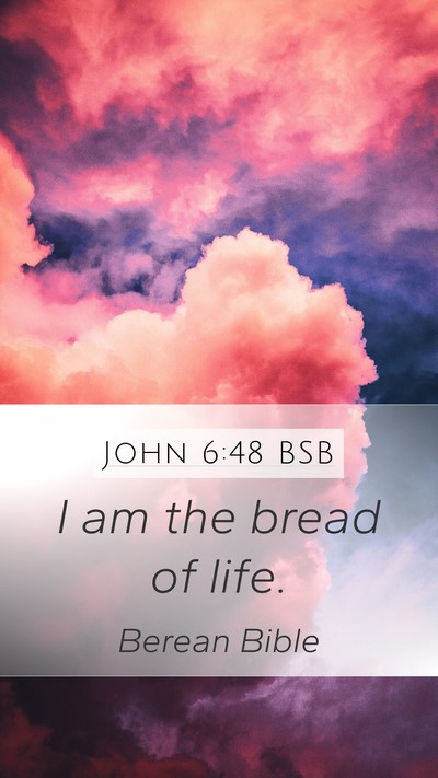 John 6:48 BSB Bible Verse Image