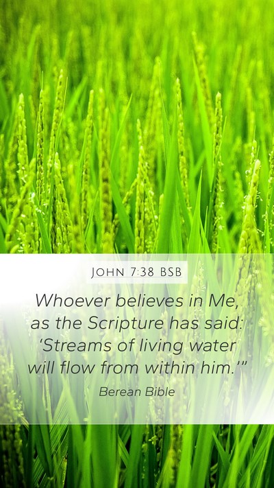 John 7:38 BSB Bible Verse Image