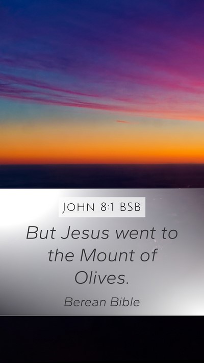 John 8:1 BSB Bible Verse Image