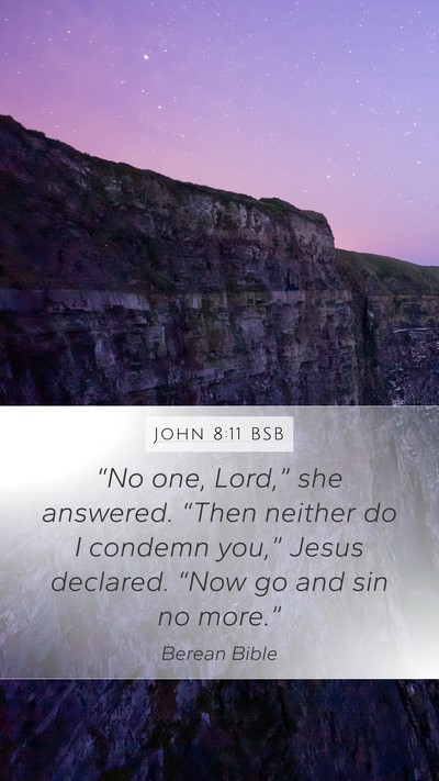 John 8:11 BSB Bible Verse Image