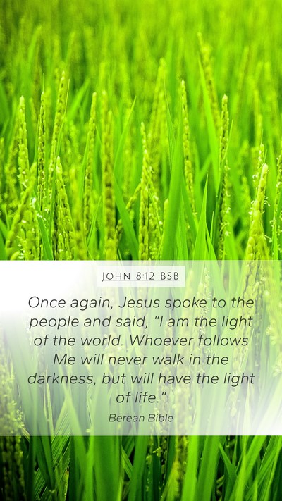 John 8:12 BSB Bible Verse Image