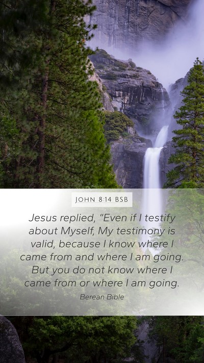 John 8:14 BSB Bible Verse Image