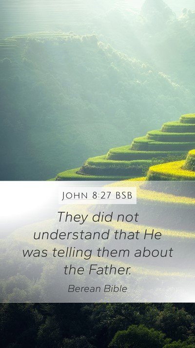 John 8:27 BSB Bible Verse Image