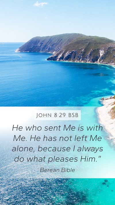 John 8:29 BSB Bible Verse Image