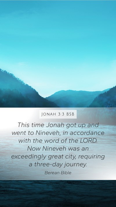Jonah 3:3 BSB Bible Verse Image