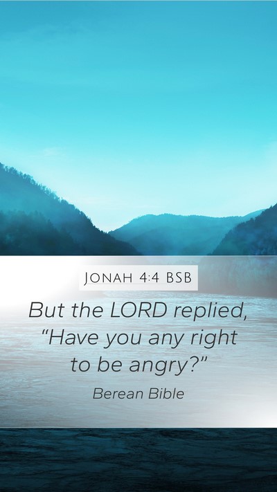 Jonah 4:4 BSB Bible Verse Image