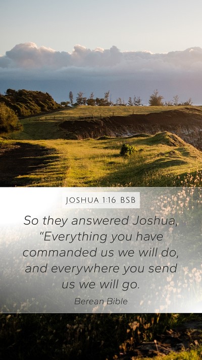 Joshua 1:16 BSB Bible Verse Image