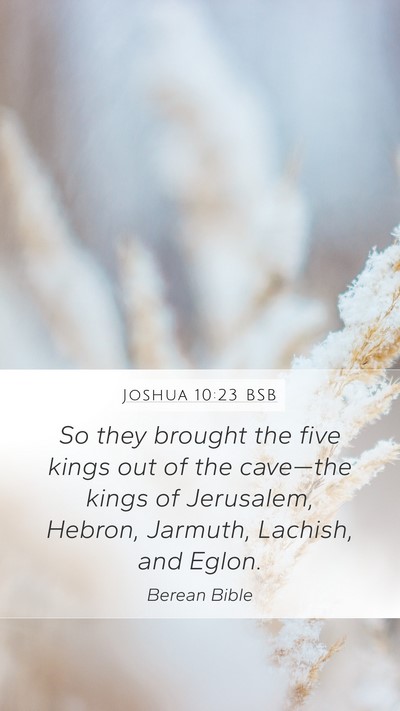 Joshua 10:23 BSB Bible Verse Image