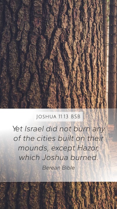 Joshua 11:13 BSB Bible Verse Image