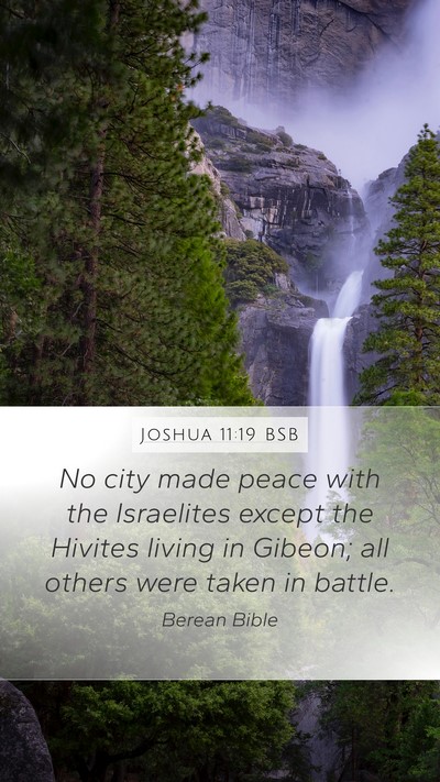 Joshua 11:19 BSB Bible Verse Image