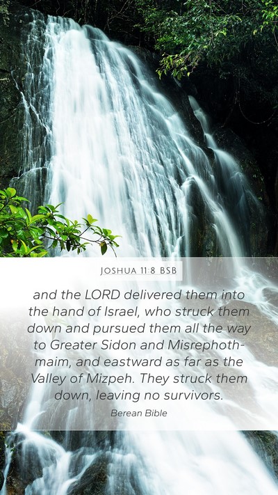 Joshua 11:8 BSB Bible Verse Image
