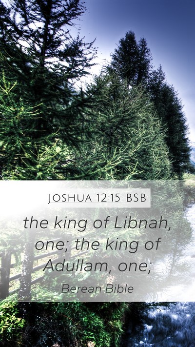 Joshua 12:15 BSB Bible Verse Image