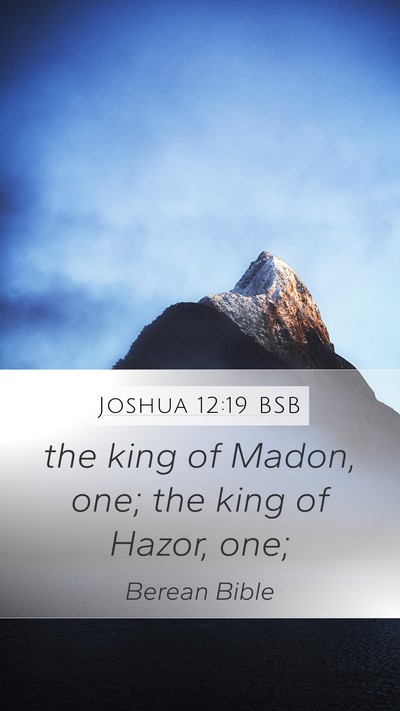 Joshua 12:19 BSB Bible Verse Image