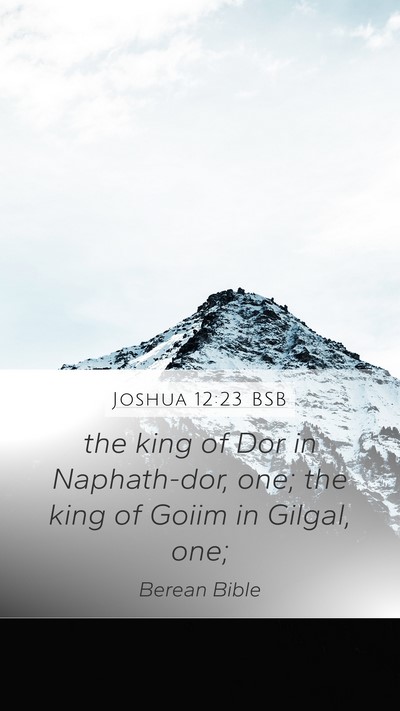 Joshua 12:23 BSB Mobile Phone Wallpaper - the king of Dor in Naphath-dor, one; the king of - Mobile Bible Verse Wallpaper