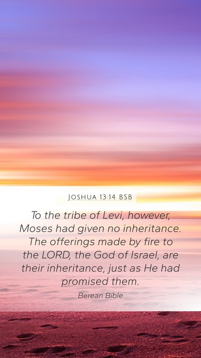 Joshua 13:14 BSB Bible Verse Image