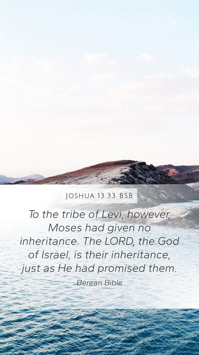 Joshua 13:33 BSB Bible Verse Image