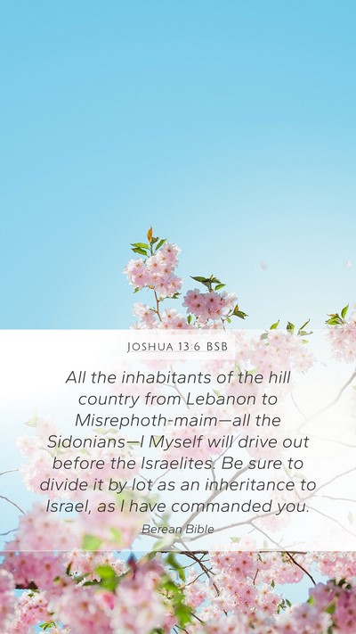 Joshua 13:6 BSB Bible Verse Image