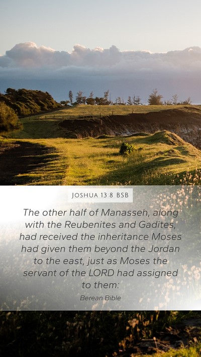 Joshua 13:8 BSB Bible Verse Image
